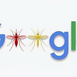 google / SOL