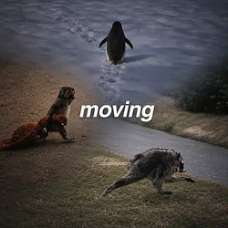 moving / SOL
