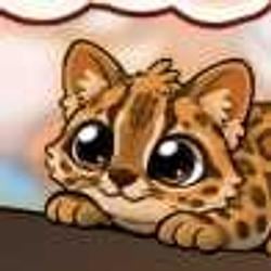 DiscCat