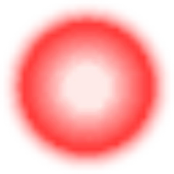 EMBRYO
