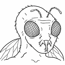 FLYJAK / SOL