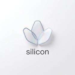 SILICON
