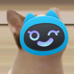 BOOPCAT