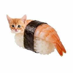 SUSHI / USDC