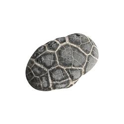 ROCK / SOL