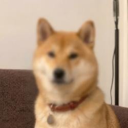 zINU
