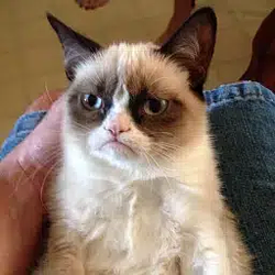 GRUMPY