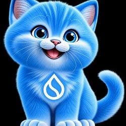 CATSUI