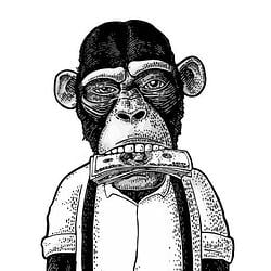 APE / SOL