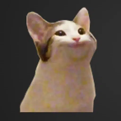 CATCAM