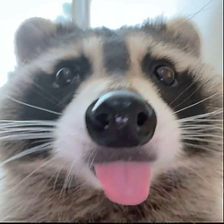 BANDIT