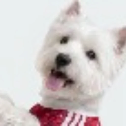FOOTBALLINU