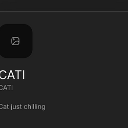 CATI / WETH