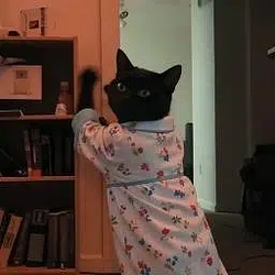 Pajamas / SOL