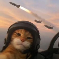 WARCAT