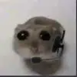 BimoJri