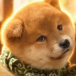 まめ