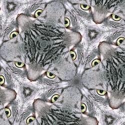MATERIACAT / SOL