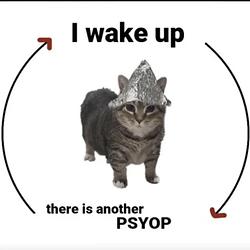 PSYOPCAT