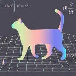 QCAT / SOL