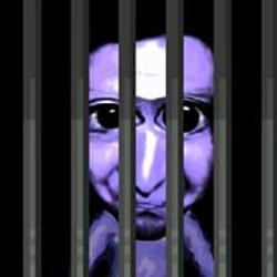 SSS