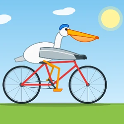 Pelican
