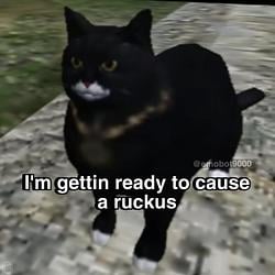 ruckus