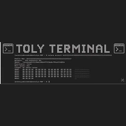 TTerminal