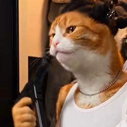 YNCAT