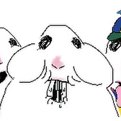 hammy / SOL