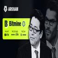 WhoTom / BNB