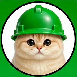 BONKCAT
