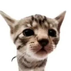 Elgatito