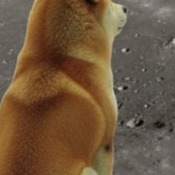 MOONDOGE