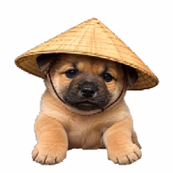 狗