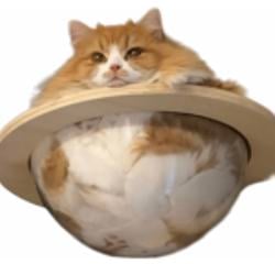 CATURN