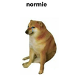 NormieDog / BNB