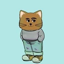 CHILLCAT