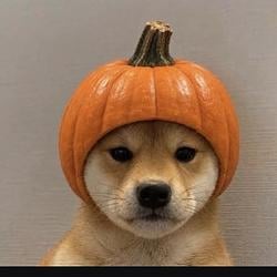 PUMP INU