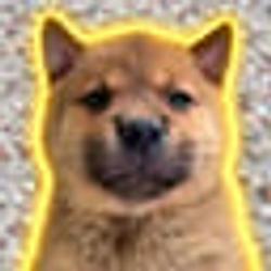 BOB