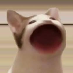 Popcat