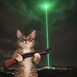 $pumpcat