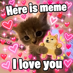 ily