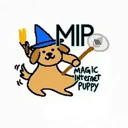 MIP / SOL
