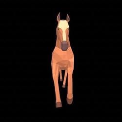 HORSE / SOL