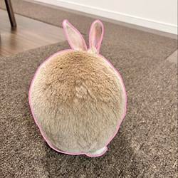 チャコ