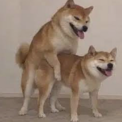 INu