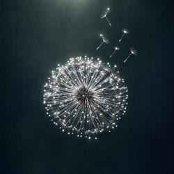 Pappus