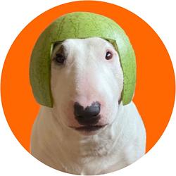 SPARKY DOG