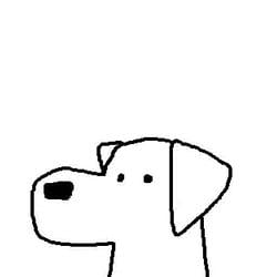 DOGCOIN